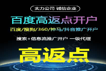 深入解析SEM账户竞价运营成功案例